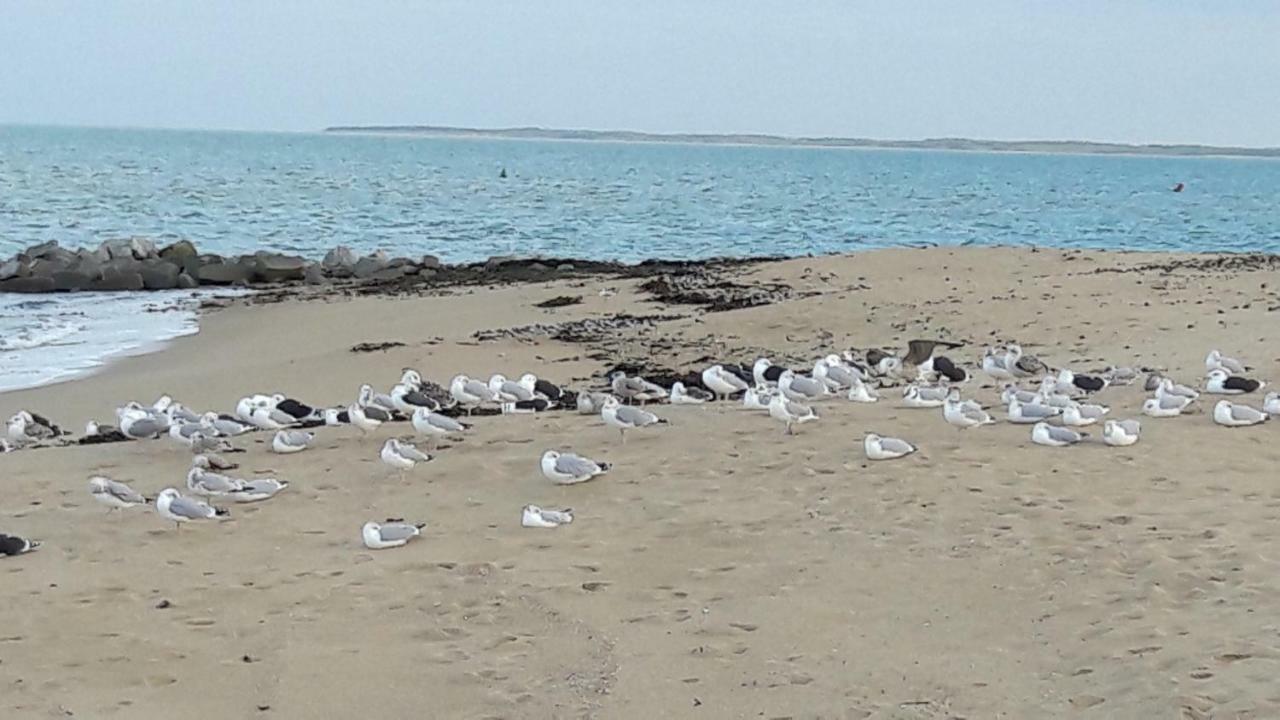 Ma Chaumiere Villa La Cotinière Kültér fotó